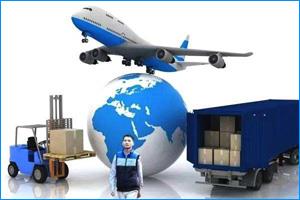 Import business